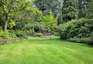 Optimiser l'expérience du jardin à Saint-Germain-en-Montagne
